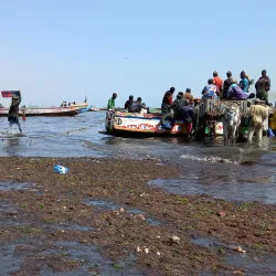 Joal-Fadiouth Island - Mbour