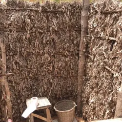 Lompoul Desert - Mbour