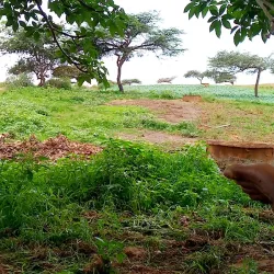 Lompoul Desert - Mbour