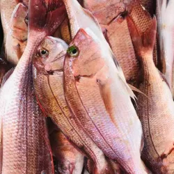 Mbour Fishing Port - Mbour