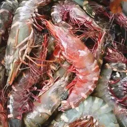 Mbour Fishing Port - Mbour