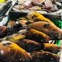 Mbour Fishing Port - Mbour