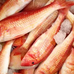 Mbour Fishing Port - Mbour