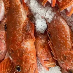 Mbour Fishing Port - Mbour