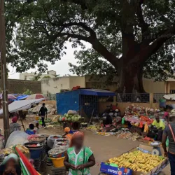 Mbour Market (Marché Central) - Mbour