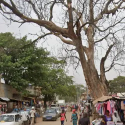 Mbour Market (Marché Central) - Mbour