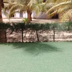 Mbour Mosque - Mbour