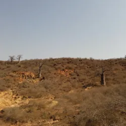 Popenguine Nature Reserve - Mbour