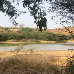 Popenguine Nature Reserve - Mbour