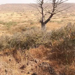 Popenguine Nature Reserve - Mbour