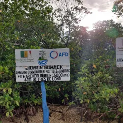 Sine-Saloum Delta - Mbour