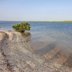 Sine-Saloum Delta - Mbour