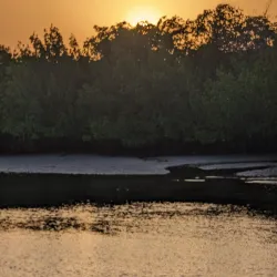 Sine-Saloum Delta - Mbour
