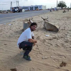 Artisan Market of Saint-Louis - Saint-Louis