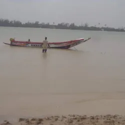 Langue de Barbarie National Park - Saint-Louis