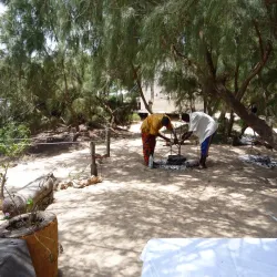 Langue de Barbarie National Park - Saint-Louis