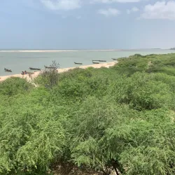 Langue de Barbarie National Park - Saint-Louis