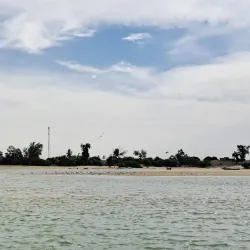 Langue de Barbarie National Park - Saint-Louis