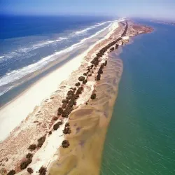 Langue de Barbarie National Park - Saint-Louis