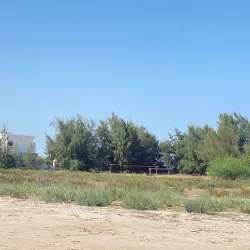 Langue de Barbarie National Park - Saint-Louis