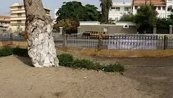 Place Faidherbe - Saint-Louis