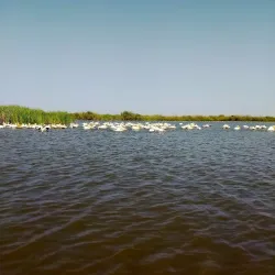 Saint-Louis Island (Île de Saint-Louis) - Saint-Louis