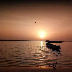 Senegal River Delta - Saint-Louis