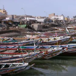 Senegal River Delta - Saint-Louis