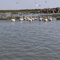 Senegal River Delta - Saint-Louis