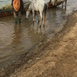 Senegal River Delta - Saint-Louis