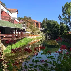 Žagubica Town Center - Žagubica