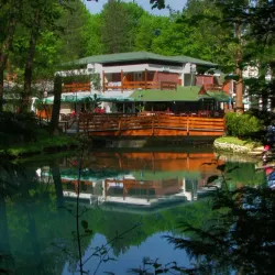 Žagubica Town Center - Žagubica