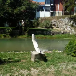 Žagubica Town Center - Žagubica