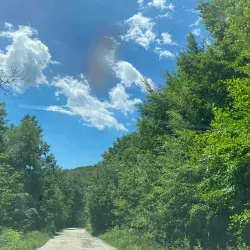 Homolje Mountains - Žagubica