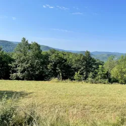 Homolje Mountains - Žagubica