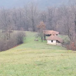 Homolje Mountains - Žagubica