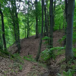 Homolje Mountains - Žagubica