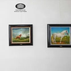 Homolje Museum - Žagubica