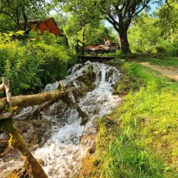 Lisine Waterfall - Žagubica