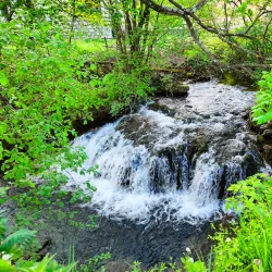 Lisine Waterfall - Žagubica