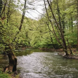 Mlava River - Žagubica
