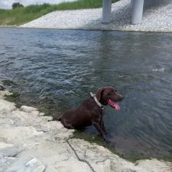 Mlava River - Žagubica