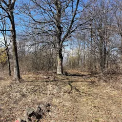 Rajac Mountain - Žagubica