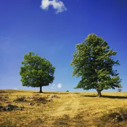 Rajac Mountain - Žagubica