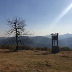 Rajac Mountain - Žagubica