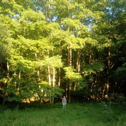 Rudna Glava Archaeological Site - Žagubica