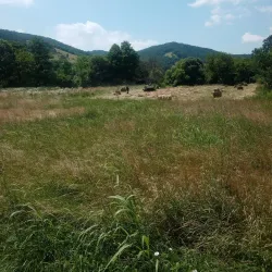 Rudna Glava Archaeological Site - Žagubica