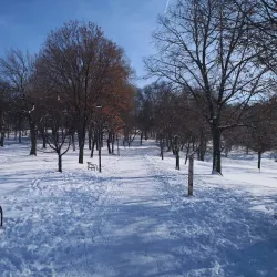Aleksinac City Park - Aleksinac