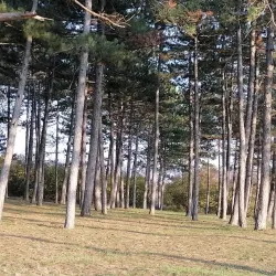 Aleksinac City Park - Aleksinac