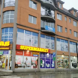 Aleksinac Market - Aleksinac